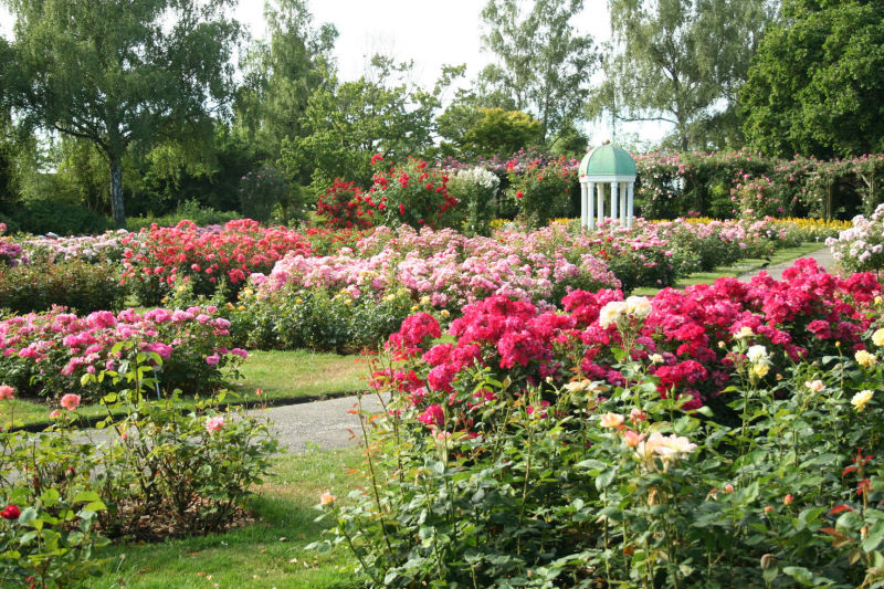 Rosarium Parklaan